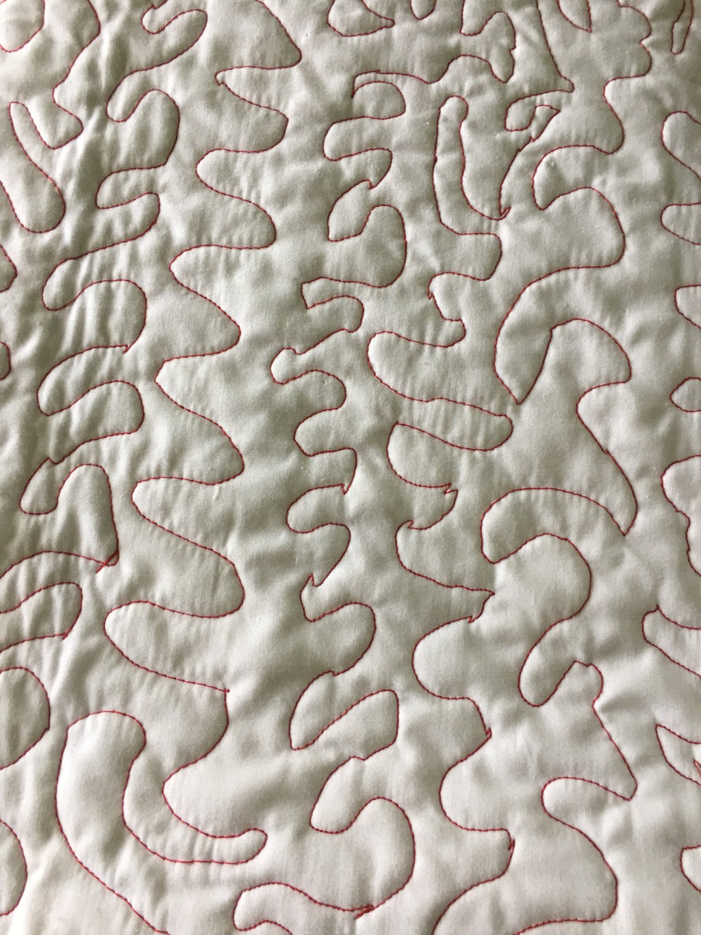 I Was Blind But Now I See So I Practice Machine&nbsp;Quilting