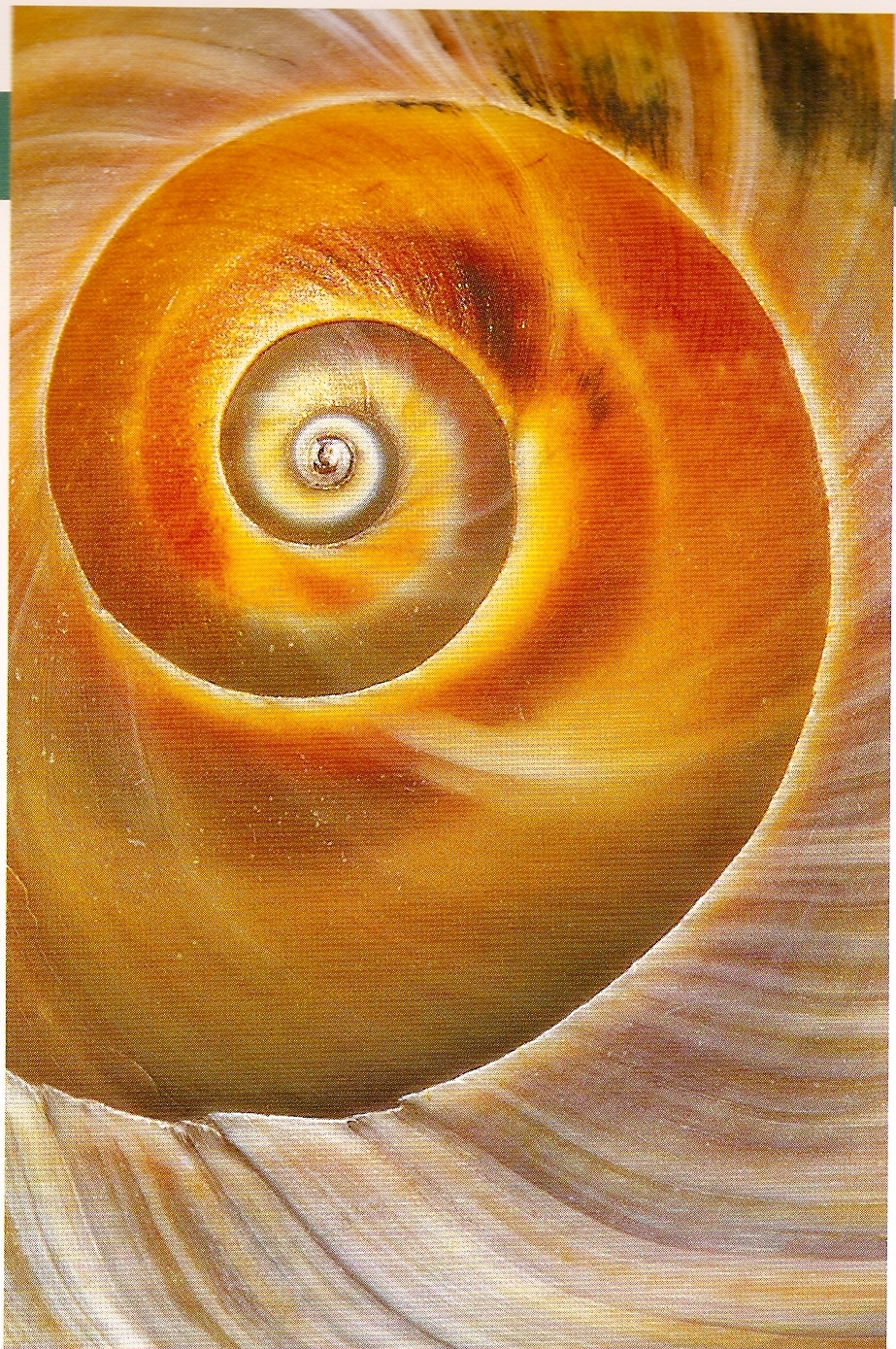 Today My Life Changes&nbsp;Forever