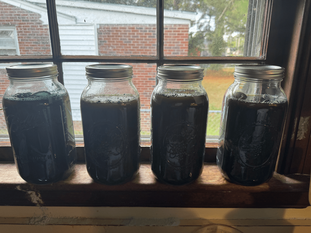 Photo of indigo dyeing in a Mason jar sitting on kitchen window sill