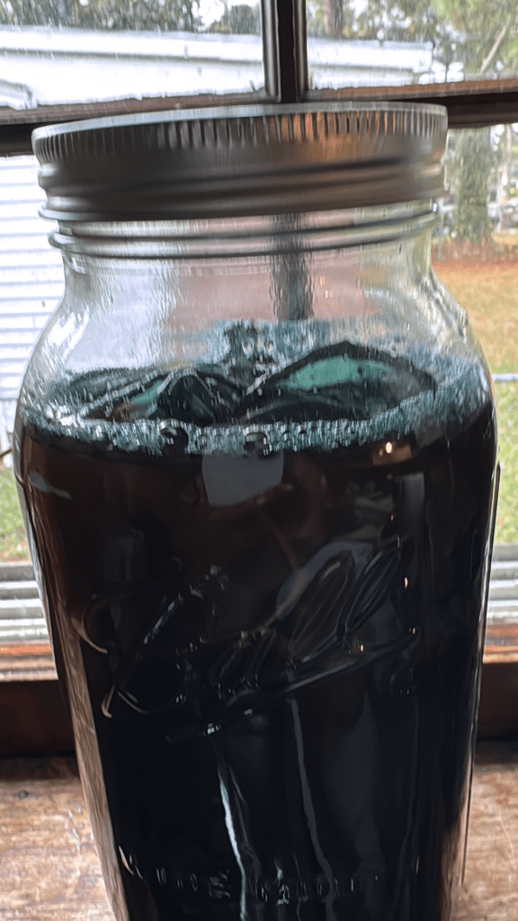 Photo of indigo dyeing in a Mason jar sitting on kitchen window sill